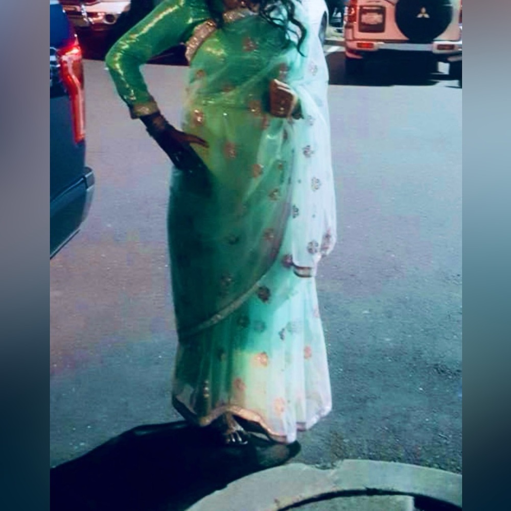 Pink and blue saree